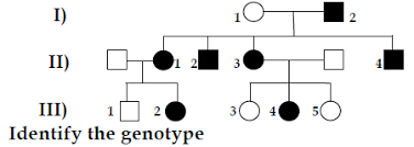 Study The Given Pedigree Chart Which Can Be Pol Aspirebuzz