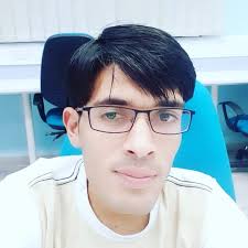 Asad ali transportation L.L.C