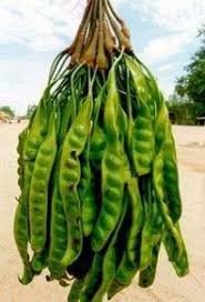 Pin On Some Malaysian Fruits