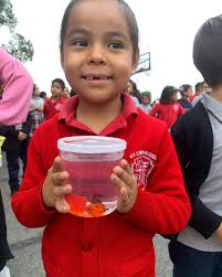 🍃🌿🌱Today, we celebrate the Feast Day of St. Francis of Assisi, beloved  for his connection to nature & humility, and dedication to the poor. Thank  you Fr. Eras blessing us and our