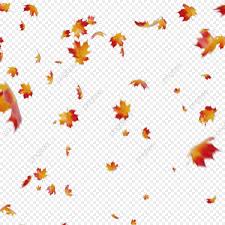 Pilih dari sumber gambar hd daun png dan unduh dalam bentuk png. Ahornblatt Fallen Ahorn Herbst Blatt Png Und Psd Datei Zum Kostenlosen Download Leaf Photography Leaf Png Autumn Leaves