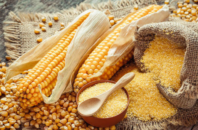 How To Start Maize Farming Business In Nigeria ?