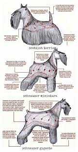 Pin On Grooming Styles