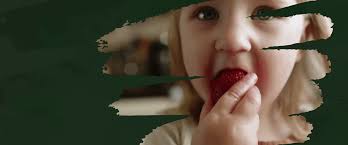 Nutrisco — Food that transforms the world