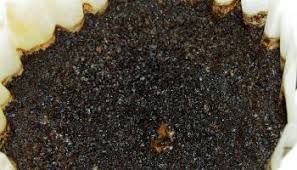 Do coffee grounds repel garden pests. 25 Weird Ways To Use Coffee And Coffee Grounds Gardening Channel