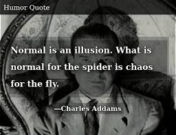 Normal is just an illusion, because neither you nor i am normal. Normal Is An Illusion What Is Normal For The Spider Is Chaos For The Fly Donald Trump Meme On Me Me