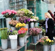 Flowers for the wild at heart. Flowers And Manolos Peppermint Dolly