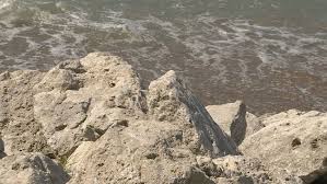 Beach Near Stop 24 Closed For Summer Due To Erosion Wsbt