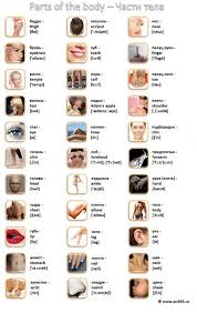 переводчик с английского на русский с транскрипцией и произношением Chasti Tela Na Anglijskom Yazyke V Kartinkah Izuchenie Anglijskogo Anglijskij Yazyk Chasti Tela