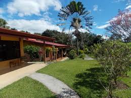 Un carnet o certificado como éste, idealmente debiera garantizar que el portador no está infectado y no va a por otra parte, el carnet verde podría además estimular a las personas que aún no reciben su inmunización a obtenerla decano facultad de medicina y ciencia. Finca In Atenas Kaufen Costa Rica San Jose Paraiso Verde