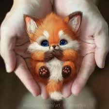 Art 4season On Instagram 1 8 Comment Your Favorite Credit Art Of Silverfox Follow Us Sevimli Hayvan Yavrulari Nadide Hayvanlar Sevimli Kedi Yavrulari