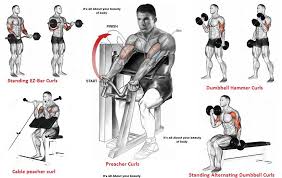 Different Exercises To Pump The Biceps Gym Workout Chart