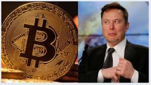 While these claims go back years, elon musk recently tweeting that tesla will suspend. Cryptocurrency Latest News Today Elon Musk Vs Anonymous Hacker Group Bitcoin Dogecoin Shiba Inu And Other Top Coins Latest Prices Check All Details Here Zee Business