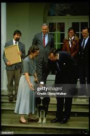 282 Theodore Bush Stock Photos, High-Res Pictures, and Images