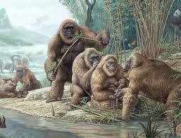 Real King Kong May Have Been Brought Down By Fruit Extinct Animals Prehistoric Animals Animals
