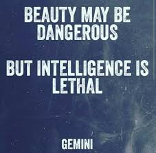 Image result for gemini