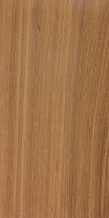 Image result for Androstachys johnsonii