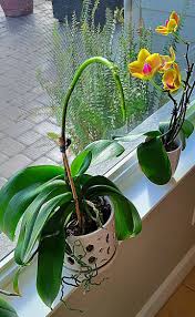 Let's welcome our new members: Krystal Bell, Denise Walker, Joyce Woods  Ridenour, Martha Griffis, Marty Heather, Terri Menz, Nikolina Mulacka, Lori  Korona Leschner, Lisa Rubalcava, Morgan Newton, Veronica Callaghan, Goon  Fernie, Lucy