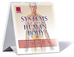 Systems Of The Human Body Flip Chart