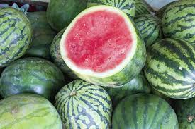 Simply scoop the seeds out of a watermelon, rinse them under water to remove any fruit pieces or fruit juices,. Seedless Watermelon Growing How Do You Grow Seedless Watermelons With No Seeds