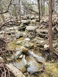 Prints are available to order. Spring Lake Preserve Natural Area 685 Lime Kiln Rd San Marcos Tx Parks Mapquest