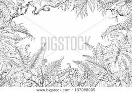 In this video we'll be creating a philodendron design. Hand Drawn Branches Vector Photo Free Trial Bigstock