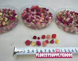 Tiny dried flowers for resin. Small Gomphrena Heads Tiny Dried Gomphrena Resin Jewelry Flowers Epoxy Resin Supply Mini Flowers For Resin Set Of Dried Mini Flowers In 2021 Resin Jewelry Resin Supplies Epoxy Resin Supplies