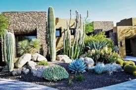 46 Marvelous Desert Garden Design Ideas For Your Backyard Page 19 Of 46 Back Garden Design Garden Design Desert Gardening Landscaping