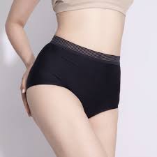 High-waisted premium leakproof underwear