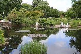Den botanischen garten in hamburg sollte man unbedingt besuchen. Botanischer Garten Hamburg Aktuelle 2020 Lohnt Es Sich Mit Fotos