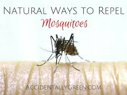 natural ways to repel mosquitoes