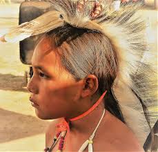 Pin van Maryann Henry op Much Respect for Native Americans