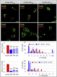 It is his divine will that young people come to faith in jesus christ and find salvation through the gospel and the work of the holy spirit to bring them to faith. Usnrnp Trafficking Is Regulated By Stress Granules And Compromised By Mutant Als Proteins Sciencedirect