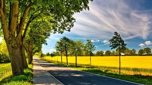 Download hd wallpapers 1080p from wallpaperfx, download full high definition wallpapers at 1920x1080 size. Free Download Download 40 Hd Laptop Wallpaper Backgrounds For 1920x1080 For Your Desktop Mobile Tablet Explore 77 Laptop Background Pictures Free Wallpaper Backgrounds Full Screen Wallpaper For Laptops