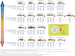 Fish Advisories Lake Champlain Basin Program