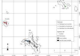 Image result for Craterispermum schweinfurthii