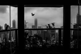 See more ideas about city aesthetic, city view, city. Xyza Cruz Bacani Exhibitions Christine Park Gallery