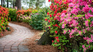 We opened north raleigh florist 8 years ago, and saw the need for a florist in downtown cary, so. The 10 Best Parks In The Triangle The Best Parks In Raleigh Cary Apex Nc Blackhawk Professional Tree Care