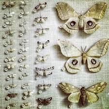 Lori Veraviola Com On Instagram Moths Specimen Museum Nobody Is Purely Good Or Purely Evil Most Of Us Are In Botanical Tattoo Nature Illustration Moth