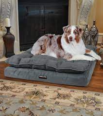 We did not find results for: Kirkland Signature Pillow Top Orthopedic Pet Napper In Blue Gray Dog Pillow Bed Cool Dog Beds Orthopedic Dog Bed