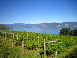 Come find out why so many are turning to us as their #1 choice for online information. Kelowna Wikipedia
