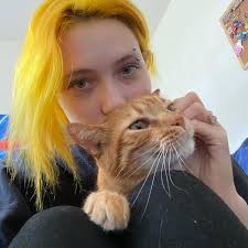 Lost gray short-haired cat in Newark's 21st street area