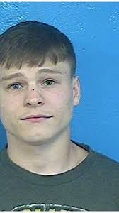 Blountville man arrested after police find large amount of marijuana, cash,  guns in home