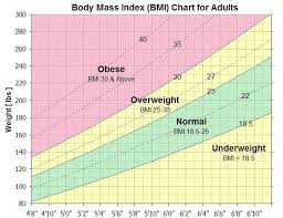 bmi overweight or obese