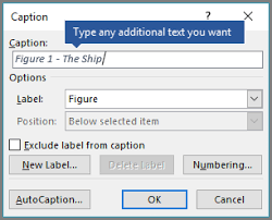 Add Format Or Delete Captions In Word Word