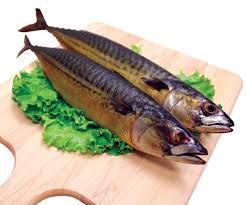 Cold Smoked Mackerel Smoked Fish Smoked Mackerel Fish