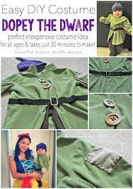 Easy Diy Costumes Diy Baby Costumes Diy Costumes