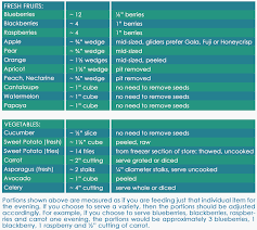 awd australian wombaroo diet sugar glider info