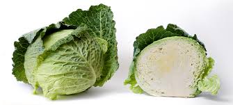 Learn vocabulary, terms and more with flashcards, games and other study tools. Cabbage Wikipedia
