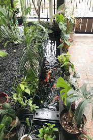 Pantangan tersebut yakni nia mengaku tidak akan pernah menyentuh dua benda milik ardi bakrie. 15 Ide Desain Kolam Ikan Depan Rumah Modern Kekinian